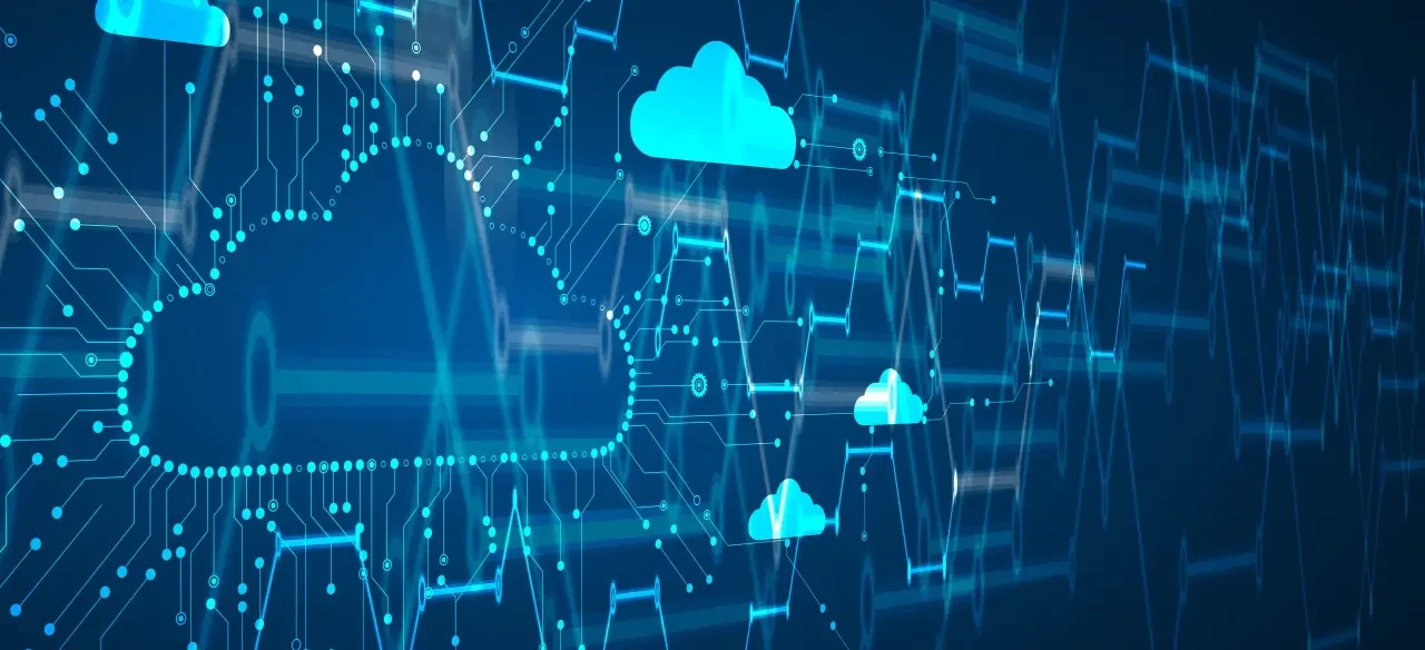 Cloud Software Company Reports Single-Digit Revenue Growth for First Time