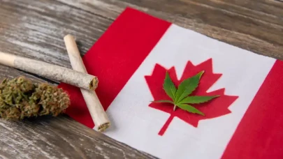Canopy Stock Reverses After Seeing Rally